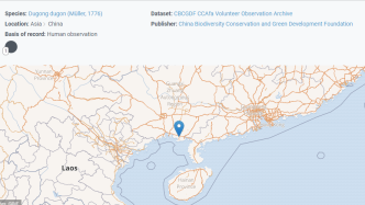 全球生物多样性信息平台（GBIF）发布广西北海儒艮数据