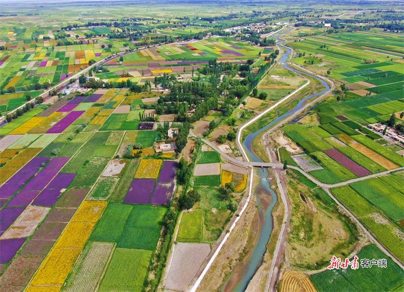 疏勒河灌区风景如画_澎湃号·政务_澎湃新闻-the paper
