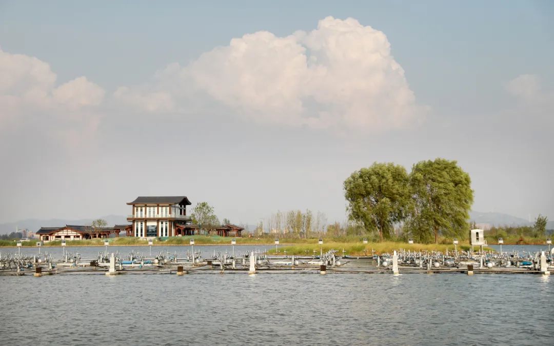 "升级版"朔西湖,要来了!_澎湃号·政务_澎湃新闻-the paper