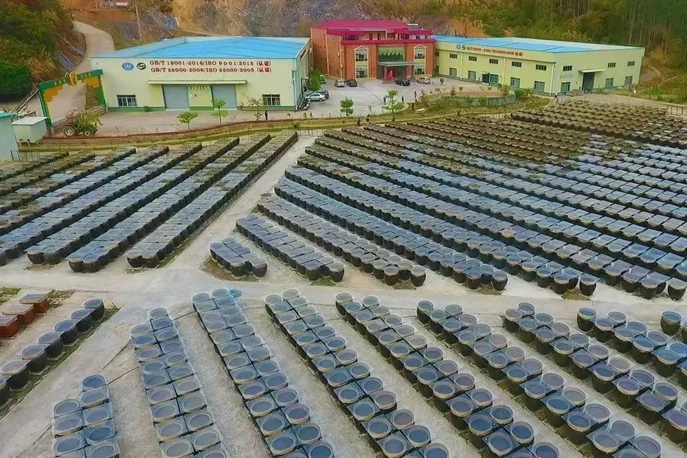 我带家乡科技致富小说(我带家乡科技致富小说下载)