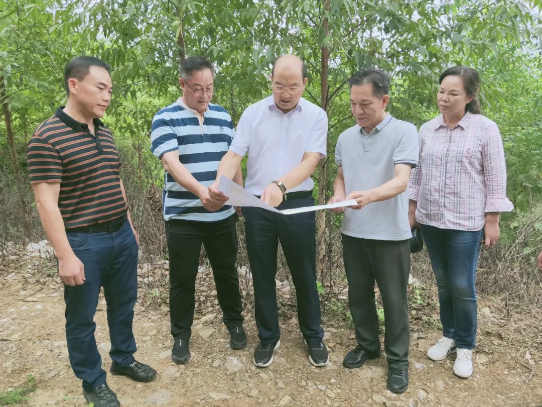 韦平调研联系重大项目建设