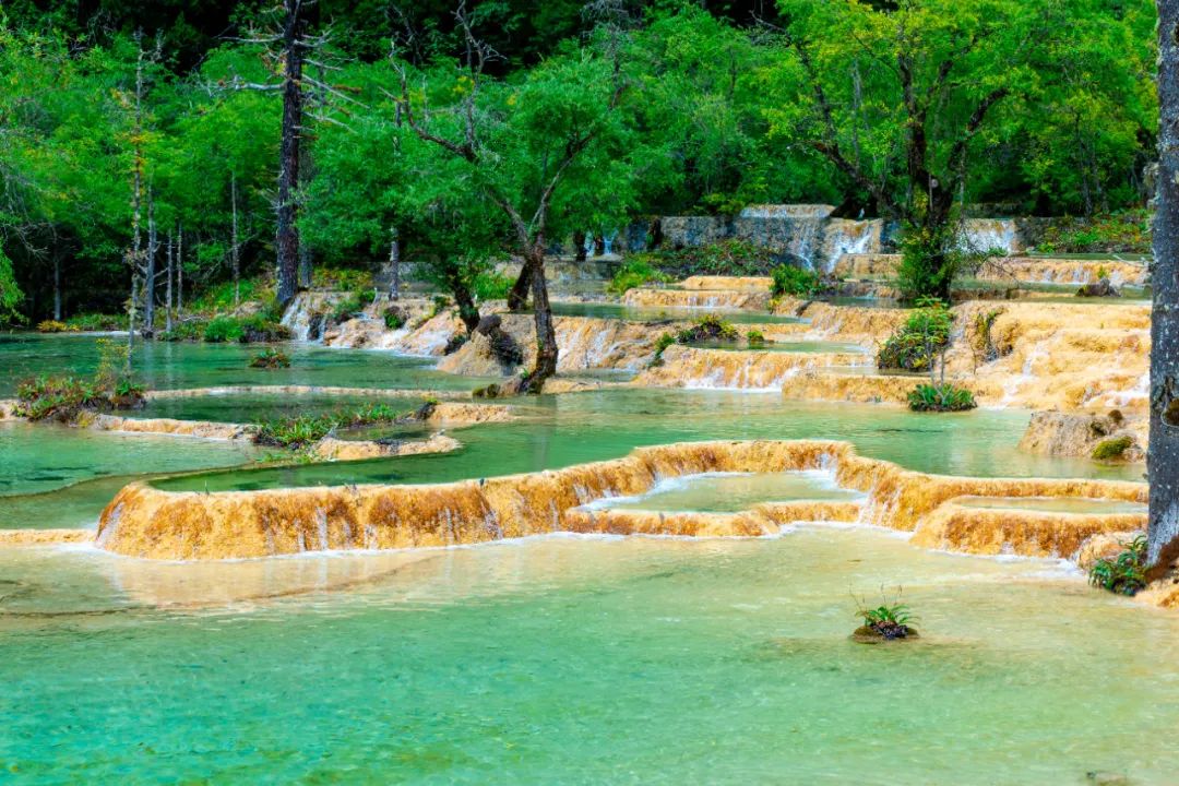 争创国家全域旅游示范区丨九月的黄龙温柔浪漫