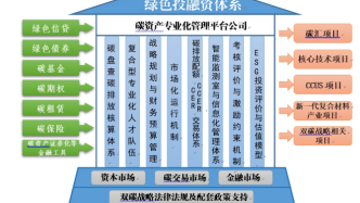 袁谋真：“双碳”战略目标下碳资产专业化管理研究