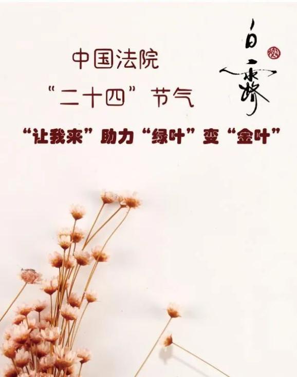 中国法院“二十四”节气——白露·“让我来”助力“绿叶”变“金叶”_澎湃号·政务_澎湃新闻-The Paper