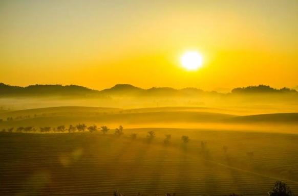 中国法院“二十四”节气——白露·“让我来”助力“绿叶”变“金叶”_澎湃号·政务_澎湃新闻-The Paper