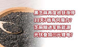 黑芝麻再度收獲漲停，芝麻糊進軍新能源，光伏疊加三元鋰電？