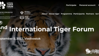 《符拉迪沃斯托克老虎保护宣言》于第二届保护老虎国际论坛发布