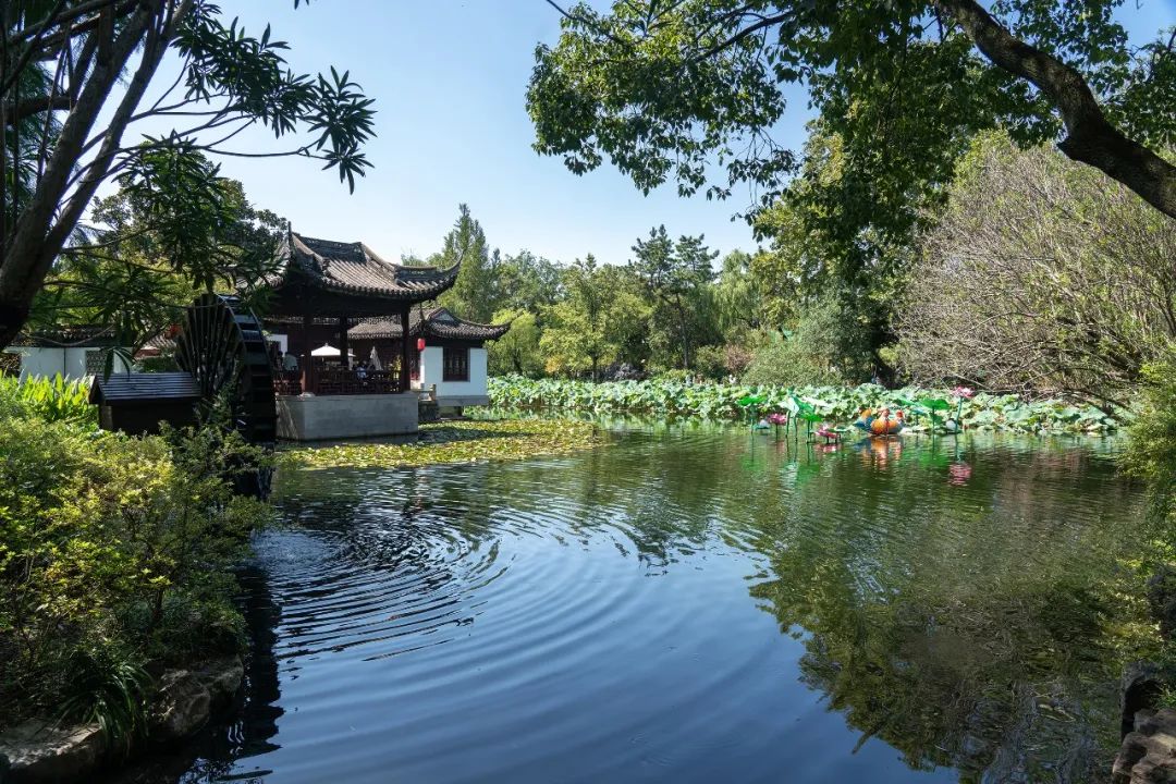 上海古猗园开展教师节门票优惠活动