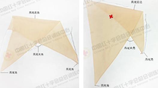 夹板绷带用于哪些方面救在身边｜现场创伤救护常用材料_https://www.jmylbn.com_新闻资讯_第10张