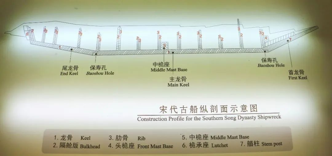 船的龙骨立体解析图图片