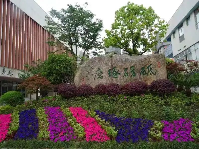 民办学校人才引进_引进民办优质学校经验材料_引进优质民办教育的利弊