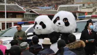 來，看大熊貓國(guó)家公園生態(tài)法庭！