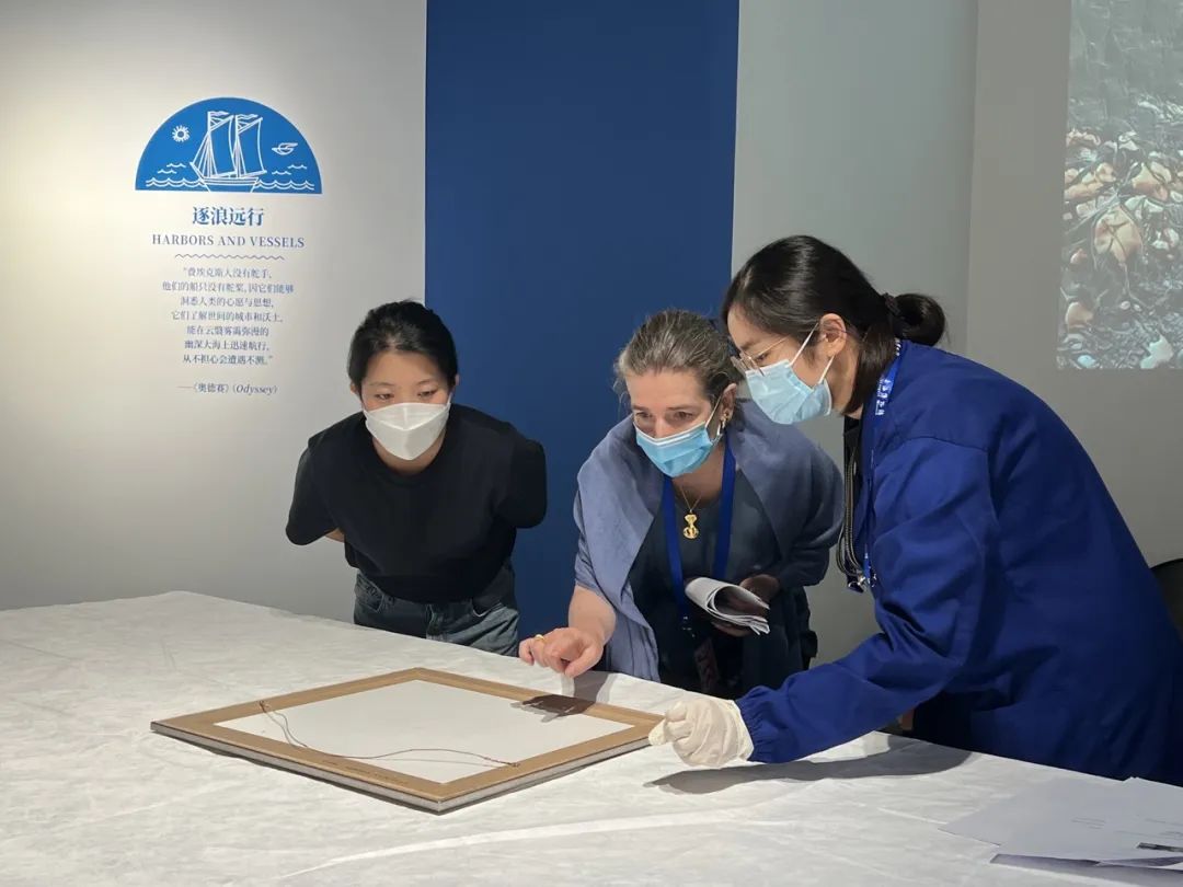 特展侧记丨海陆交响——上海博物馆与希腊文化交流