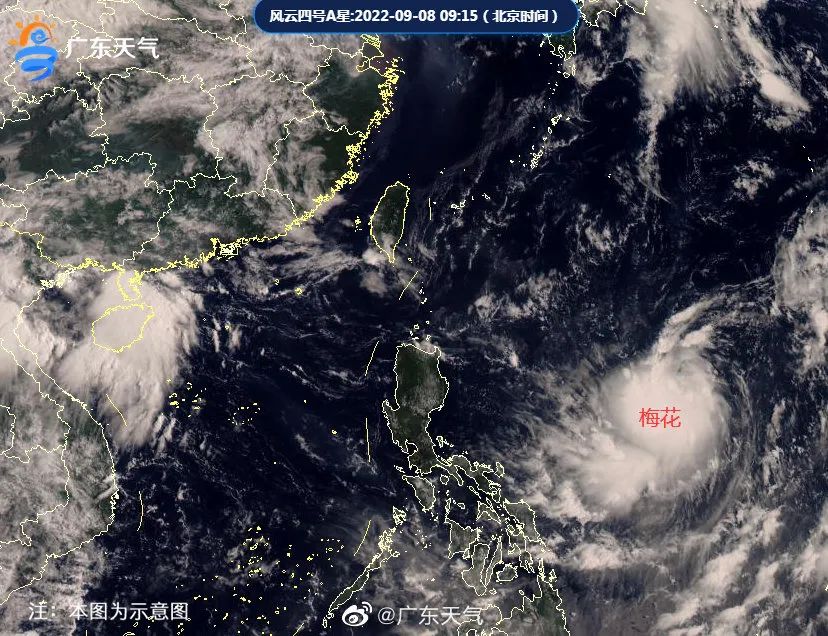 天气新会今日情况