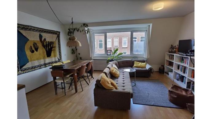 在鹿特丹，买一个100年历史的家 | My City in 2022