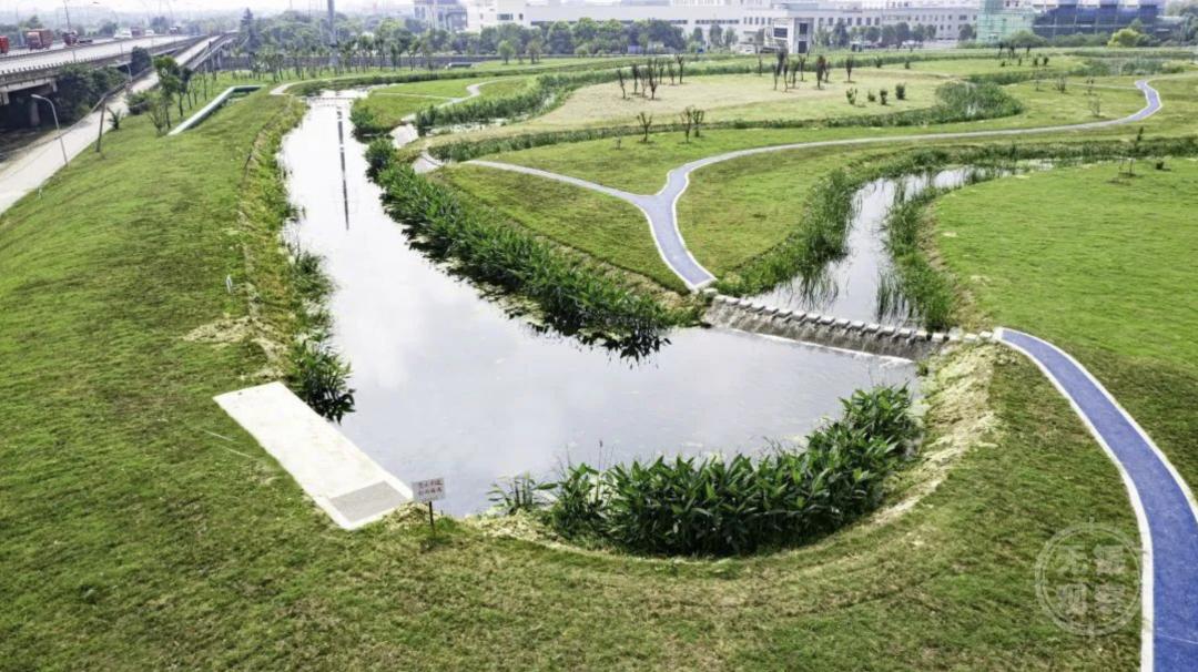 这道缓冲区,为太湖"减负"