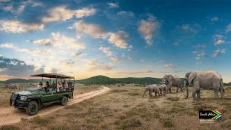 游猎南非，和野生动物专家一起体验“丛林中的一百万种邂逅”