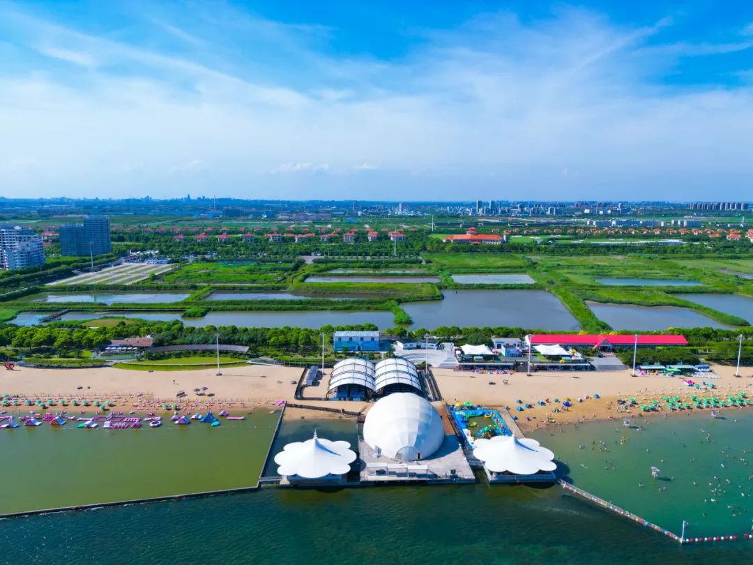 面朝大海旅见花开行走的奉贤街镇主题日媒体宣传活动海湾旅游区专场