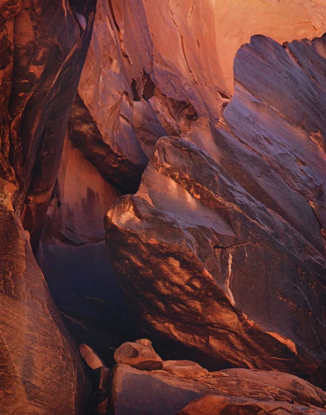 eliot furness porter美国摄影师艾略特·弗内斯·波特(eliot furness