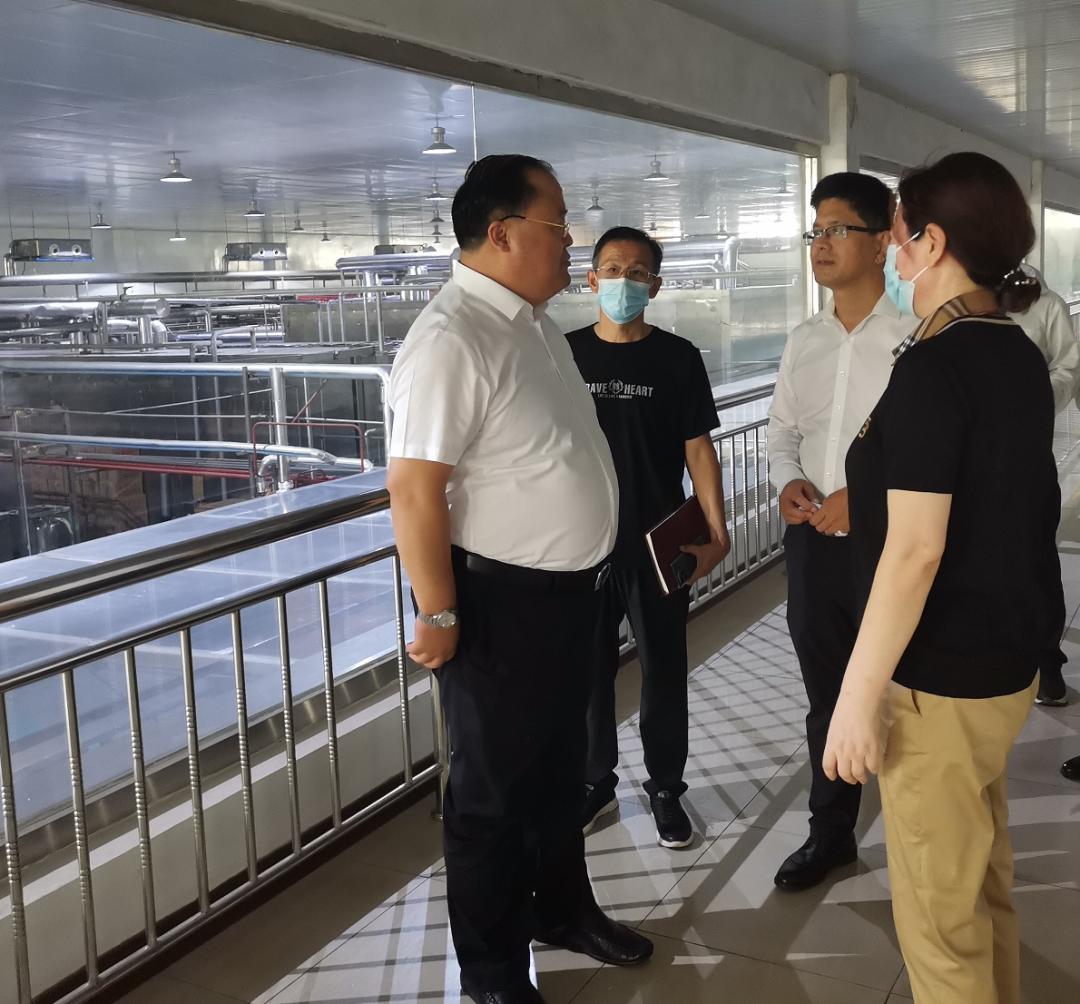 副市长尹卫江到沧州经济开发区督导检查安全生产工作_澎湃号·政务