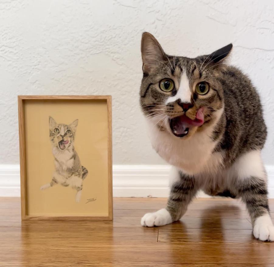 这只治愈系的恐龙猫,能让你告别精神内耗_澎湃号·湃客_澎湃新闻-the