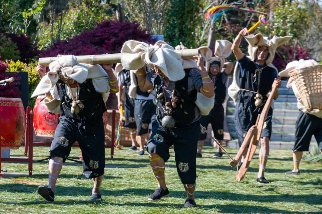 乐享云南 | 非遗·彝族老虎笙_澎湃号·政务_澎湃新闻-the paper