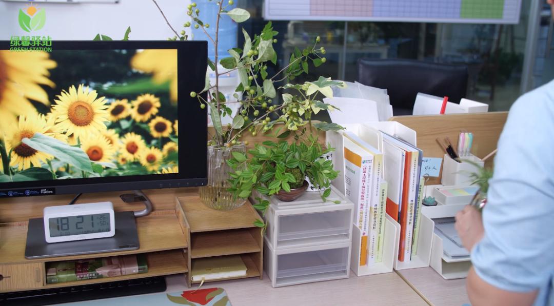 美化植物的同时,也能防止浇水时土壤渗出;-打造森系办公桌·土培植物