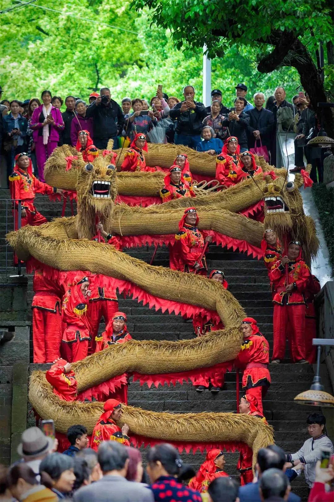 汤莹肚皮舞图片