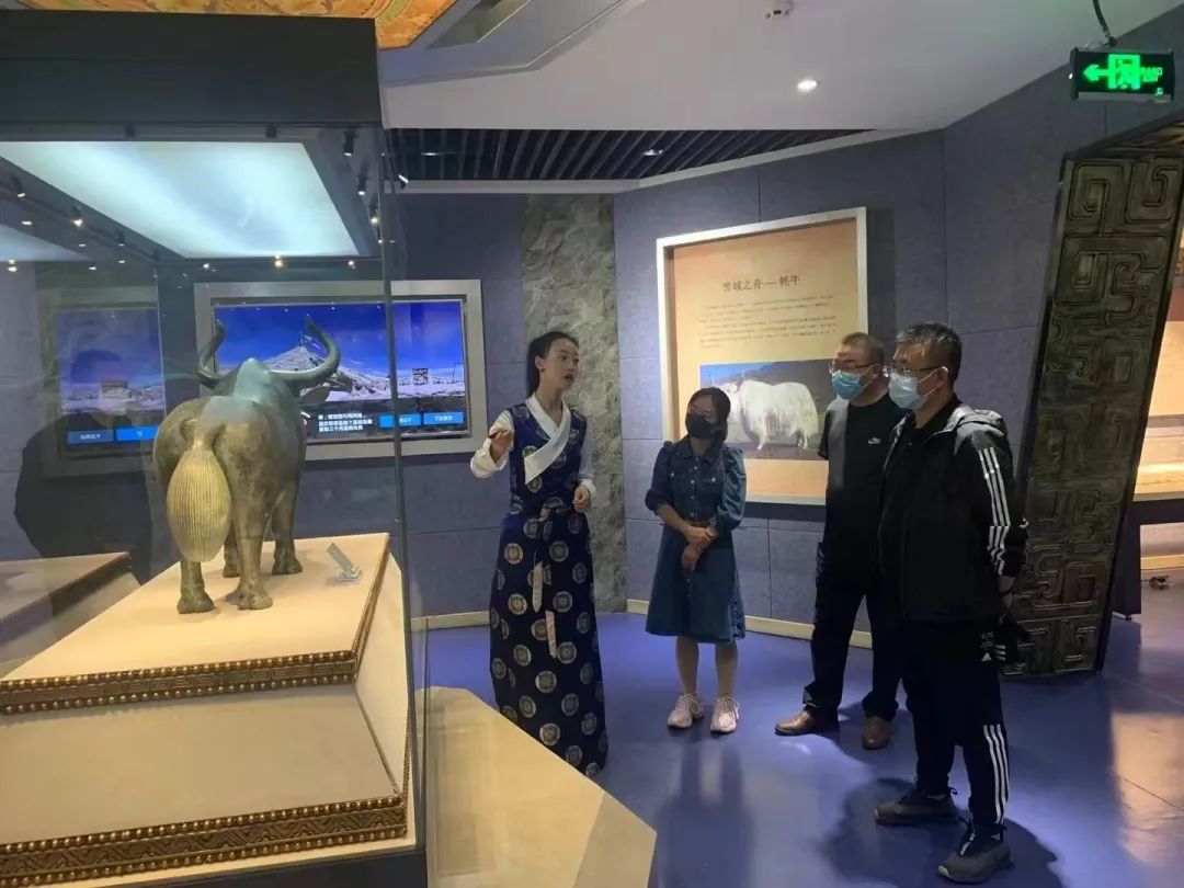 【学习交流】金川区博物馆与天祝藏族自治县博物馆开展馆际交流活动