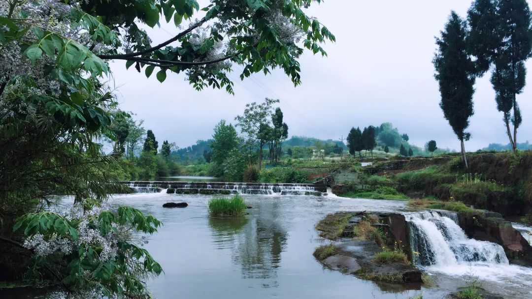 川渝携手共巡共治跨界河流南溪河重现碧水清波
