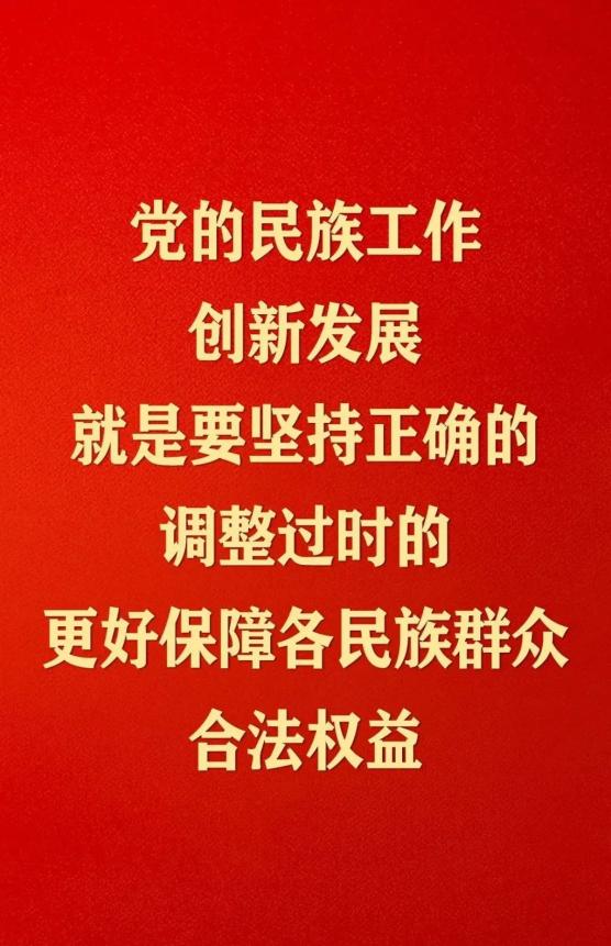 民族政策宣传以铸牢中华民族共同体意识为主线推动新时代党的民族工作