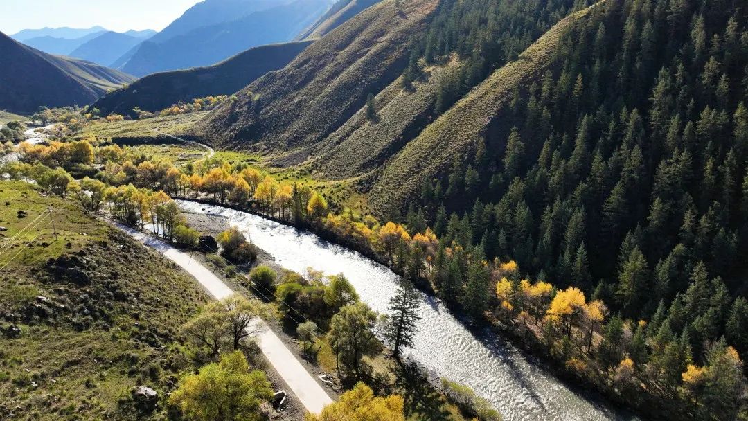 肃南美景 | 肃南松木滩秋色斑斓景色怡人醉