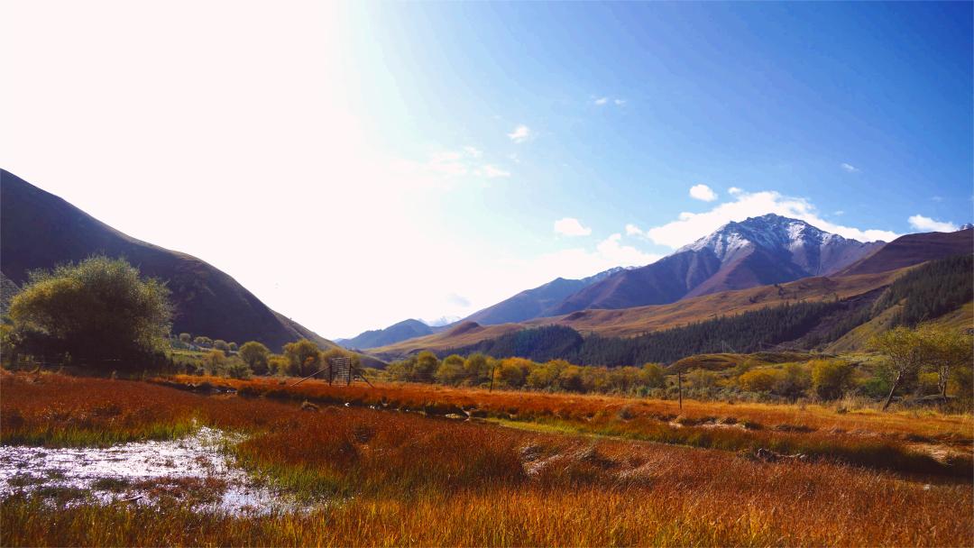 肃南美景 | 肃南松木滩秋色斑斓景色怡人醉