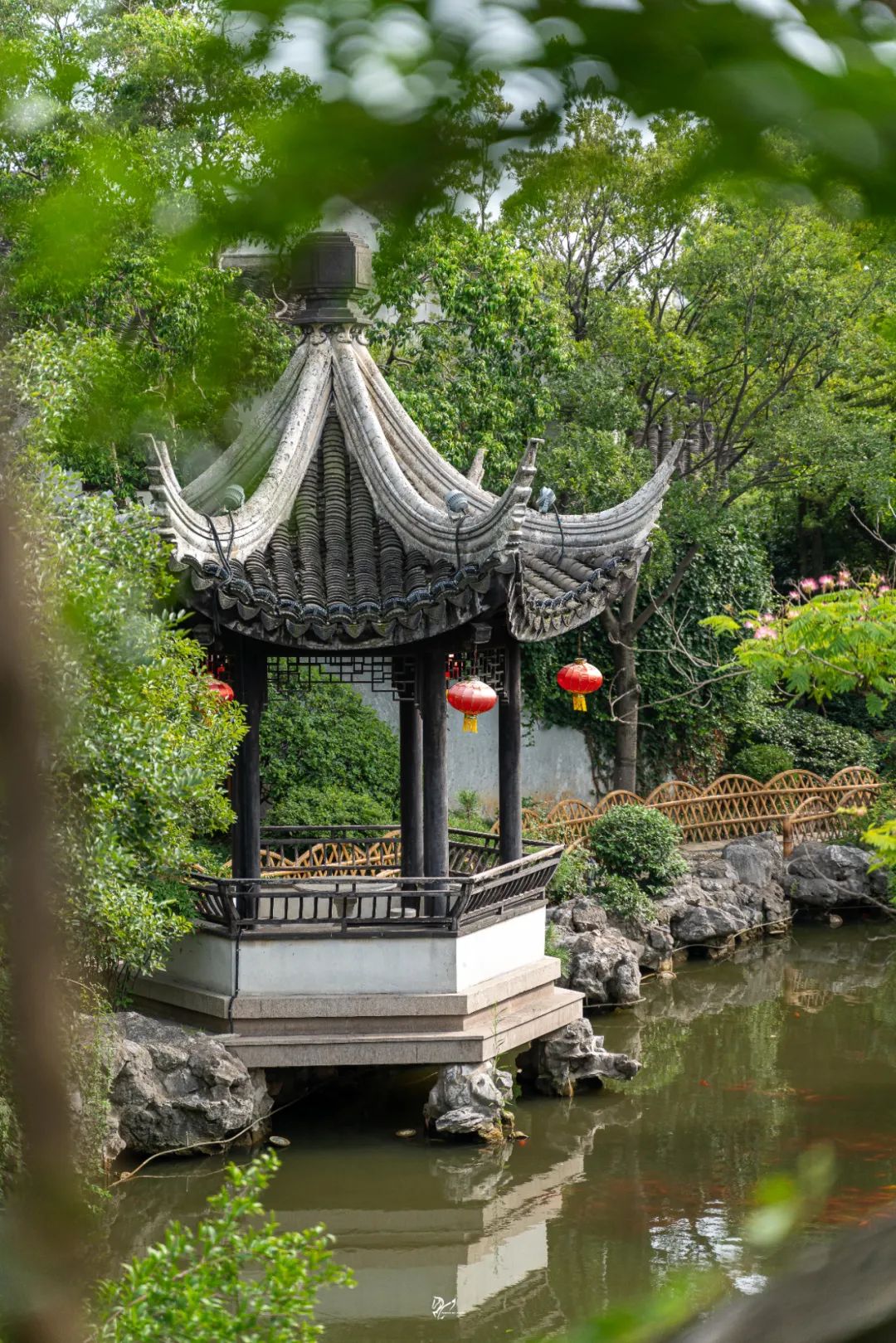 影像|严家花园_澎湃号·湃客_澎湃新闻-the paper