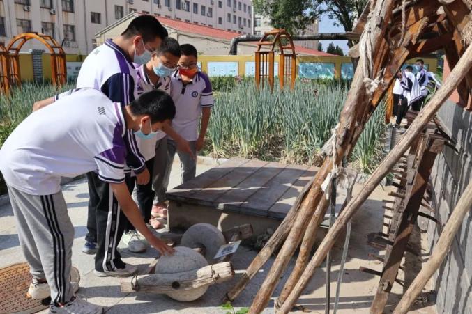 以实践促理论 黄骅市第三中学组织开展丰收节劳动课 体验农耕乐趣