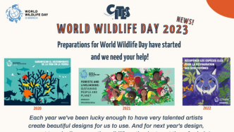 2023年世界野生动植物日设计大赛现已开始 | Vol75.全球生物多样性治理