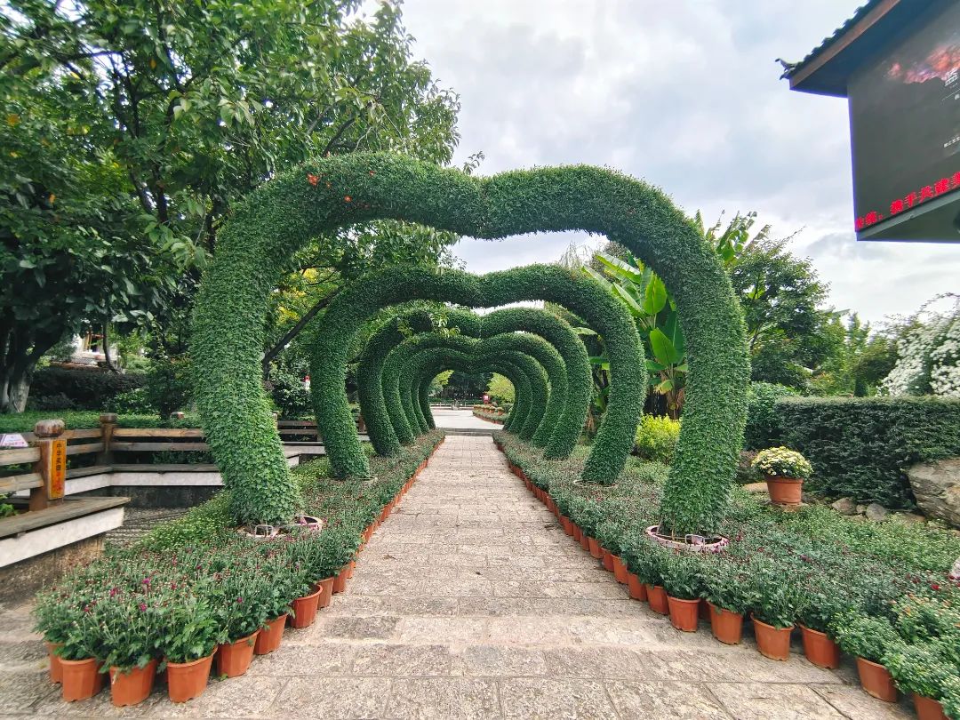 菊花展造型设计图片