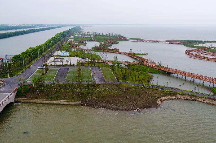 青浦:淀山湖防洪大堤及湖滨生态修复工程,你了解多少?