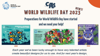 CITES 2023年世界野生动植物日设计大赛现已开始，欢迎参与~
