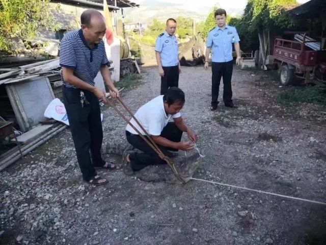 女孩网购毒蛇当宠物，一个月后毒发身亡_澎湃号·媒体_澎湃新闻-The Paper