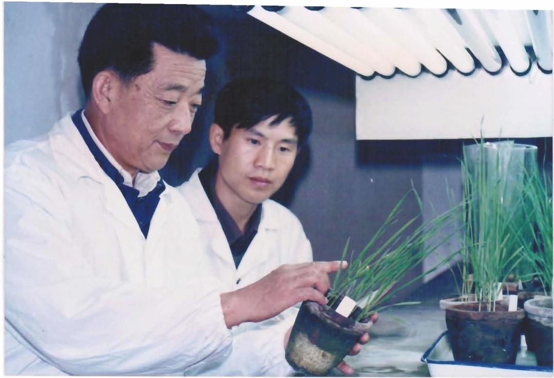 康振生:怀念我的老师,李振岐院士……_澎湃号·政务_澎湃新闻-The Paper
