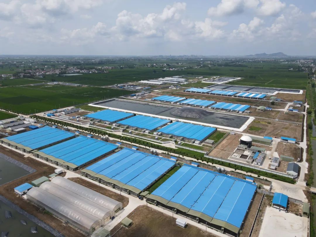 集中开工分秒必争 聚精会神抓好高质量发展