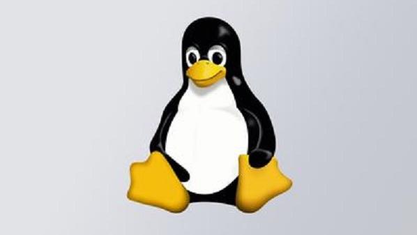 为什么是企鹅？Linux徽标背后的趣事