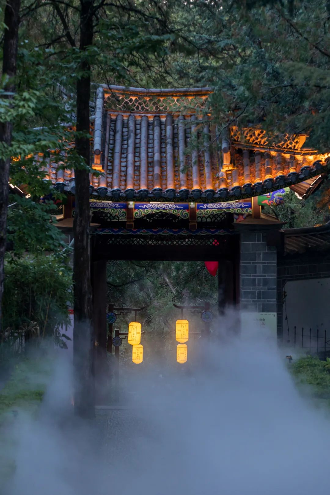 丽江狮子山夜景图片