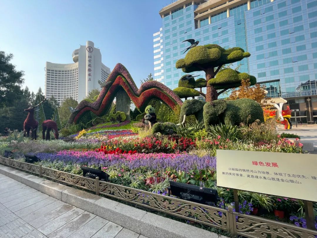 天安门国庆花坛有哪些故事?听总设计师蓝海浪娓娓道来