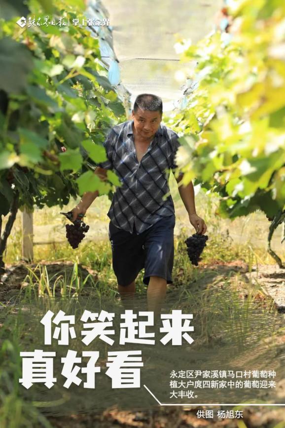 海报丨你笑起来真好看张家界丰收表情包来了