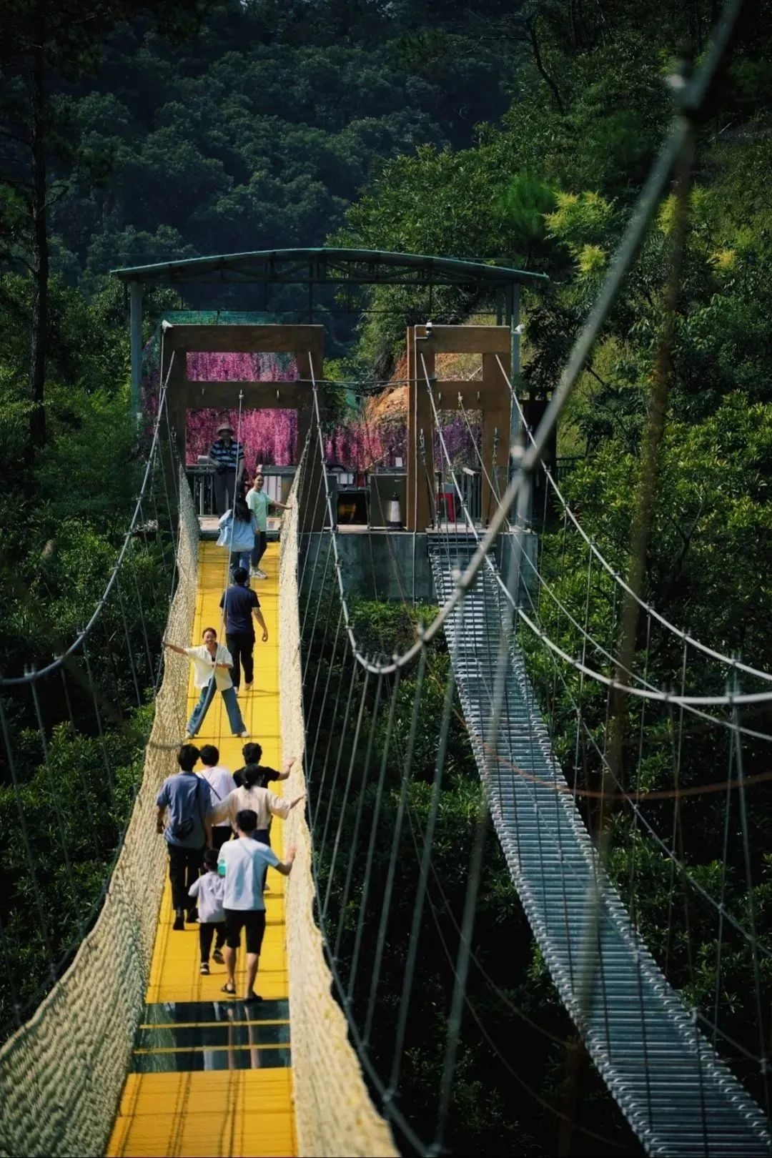 黄金沟生态旅游景区图片