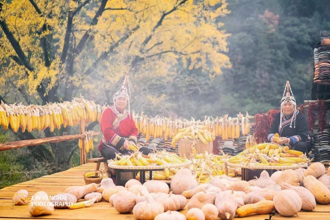 秋游丽水：“神秘畲乡”景宁攻略来了-第12张图片-海南百花岭热带雨林文化旅游区