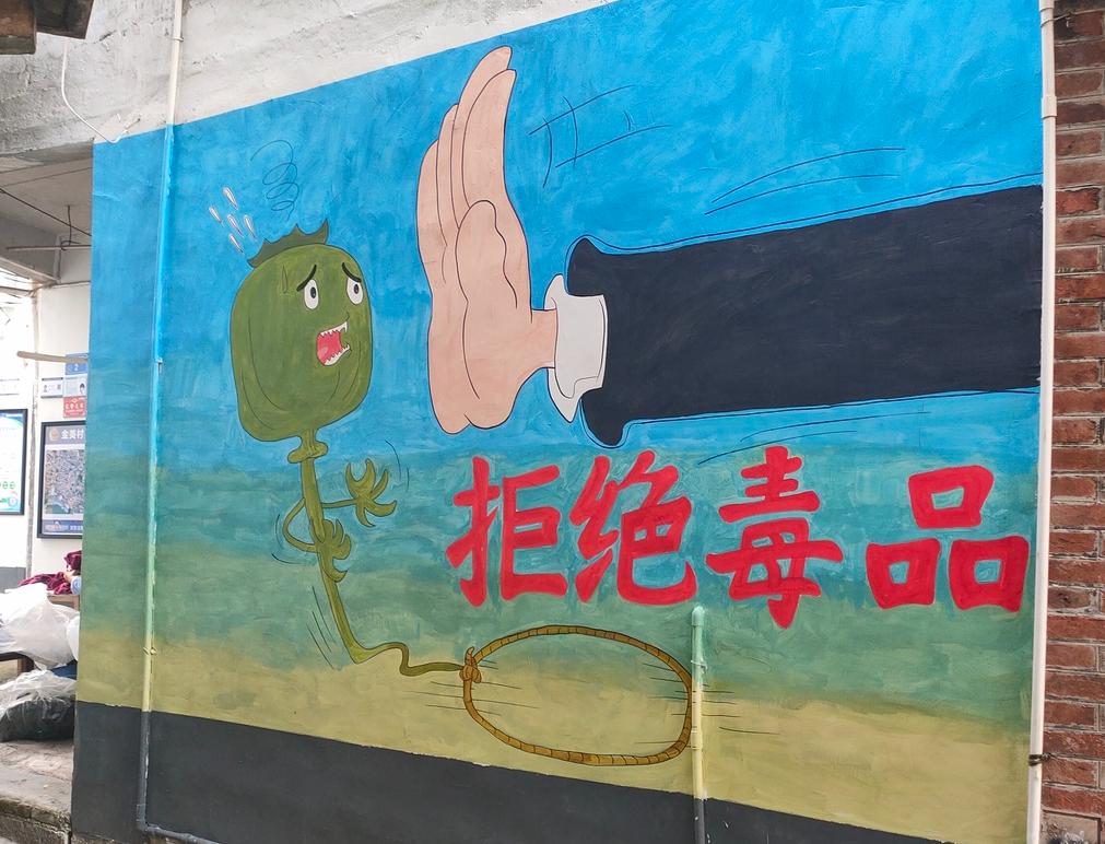 这里的禁毒墙绘上央视了!