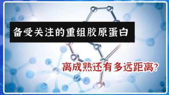 重组胶原蛋白，真的是美容“神器”吗？